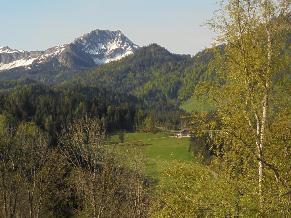 Ferienhaus Nussbaumer Lägenhet Sibratsgfäll Rum bild